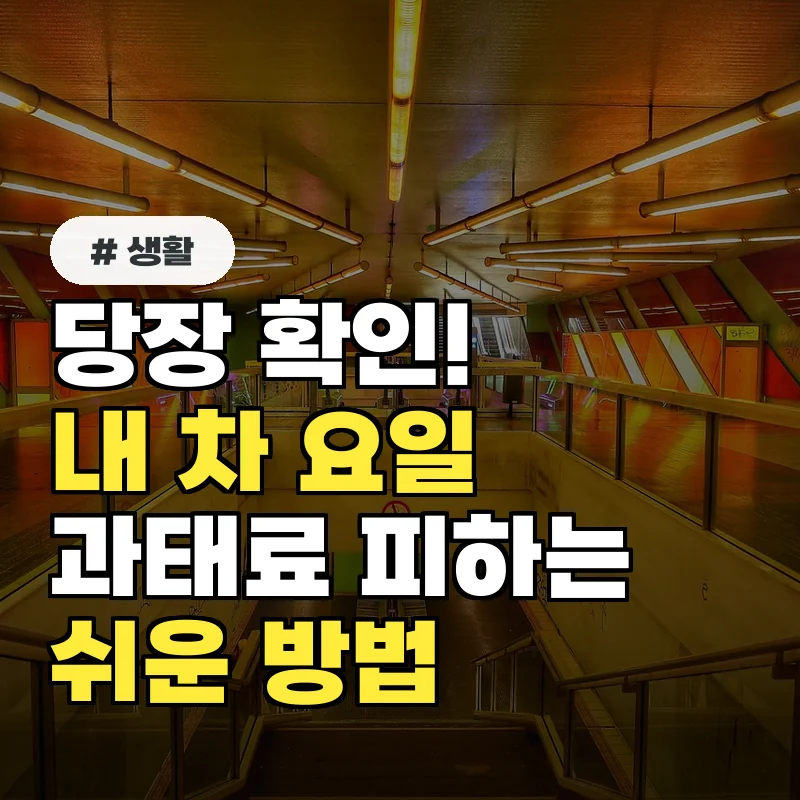 당장 확인! 올해 내 차량5부제 요일 조회하고 과태료 피하는 쉬운 방법