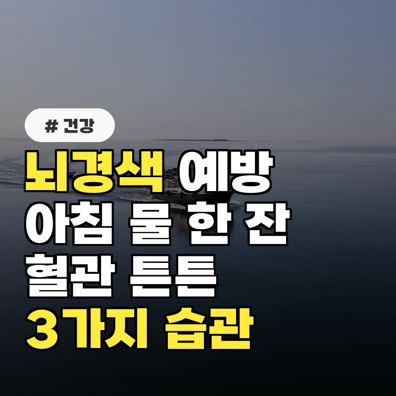 뇌경색 예방 핵심! 아침 물 한 잔, 혈관 튼튼하게 하는 3가지 습관