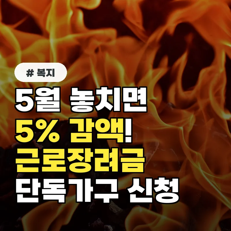 5월 놓치면 5% 감액! 근로장려금 단독가구 신청, 지금 바로 확인하세요
