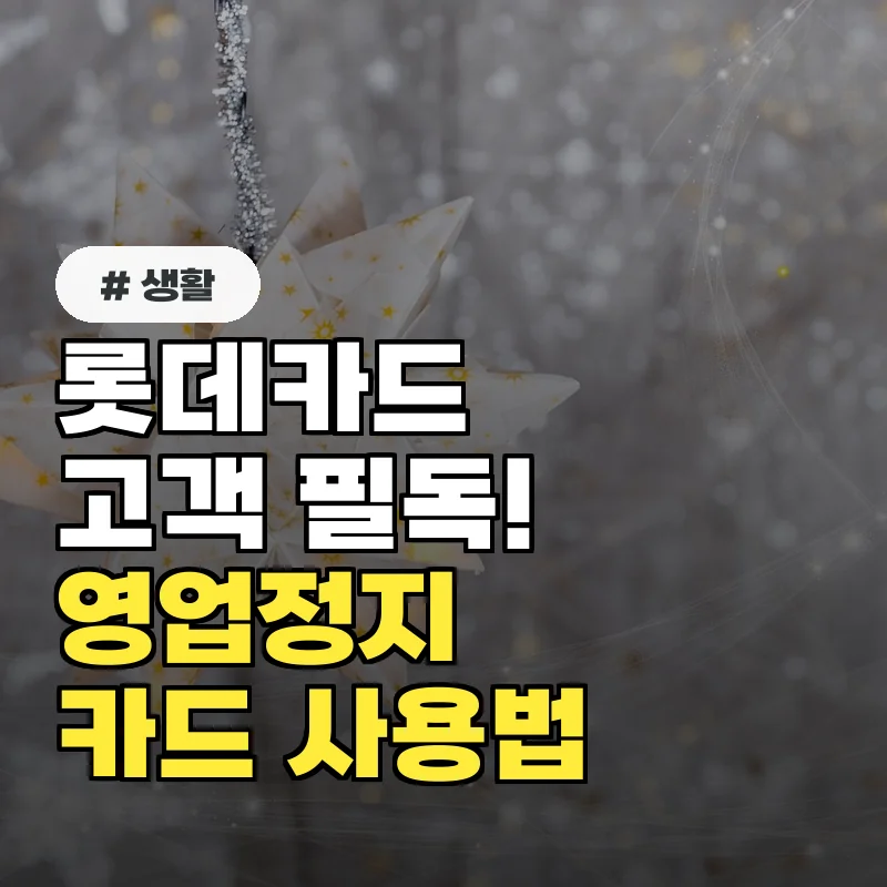 롯데카드 고객이라면 필독! 영업정지 중 신용카드 사용의 모든 것