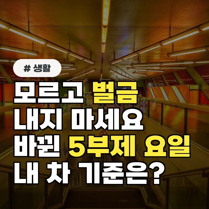 모르고 벌금 내지 마세요! 올해 바뀐 차량5부제 요일, 내 차 기준 확인법
