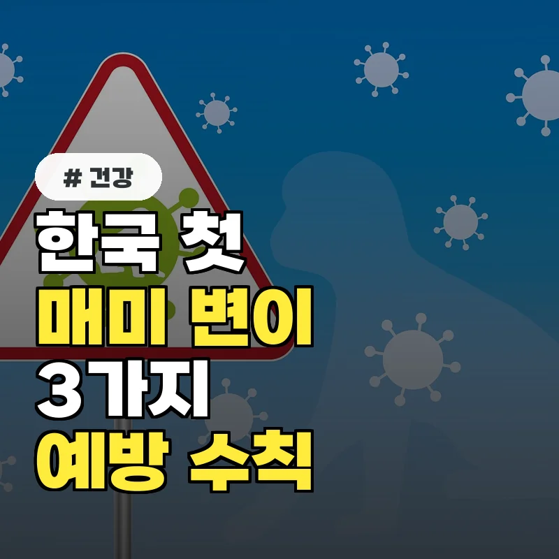 한국 첫 발생! 매미 변이, 지금 당장 알아야 할 3가지 예방 수칙
