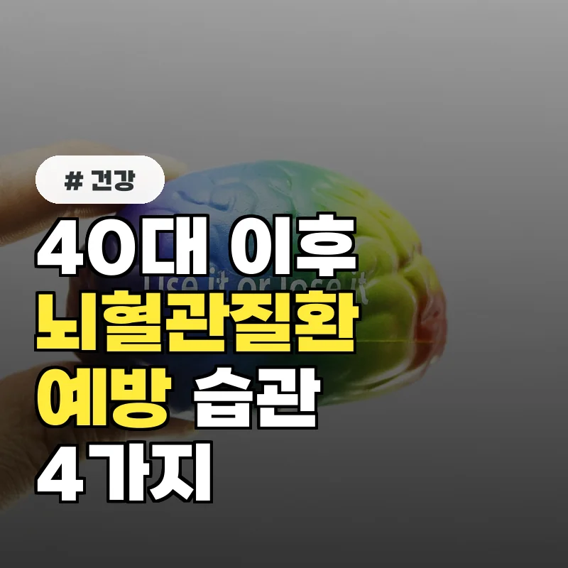 40대 이후 꼭 지켜야 할 뇌혈관질환 예방 습관 4가지