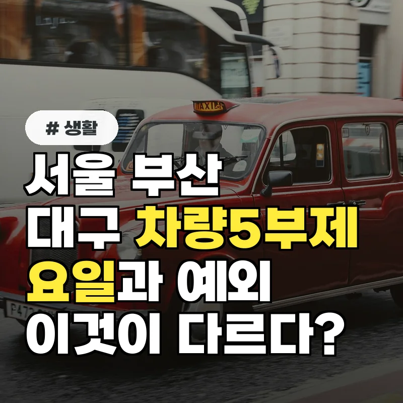 서울부산대구 차량5부제 요일, 적용 지역과 예외 사항이 이렇게 다르다?