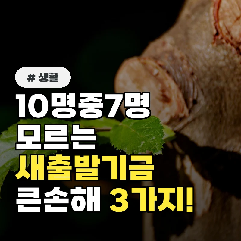 10명 중 7명이 모르는 새출발기금! 놓치면 큰 손해 볼 3가지