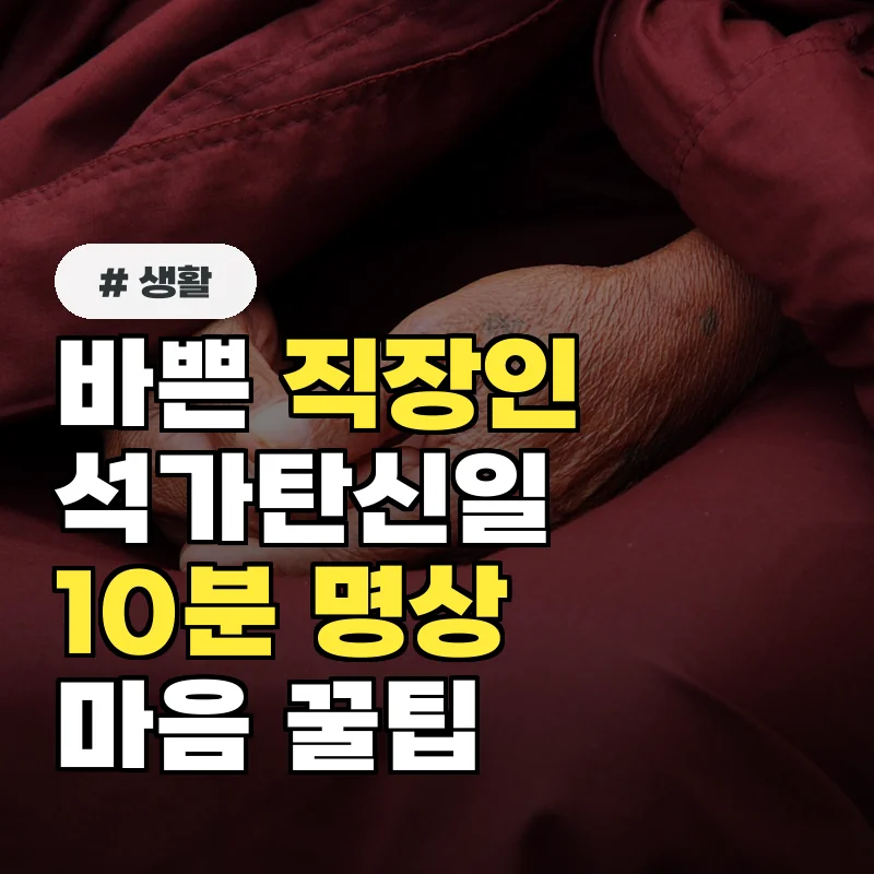 바쁜 직장인을 위한 석가탄신일! 10분으로 마음 다스리는 명상 꿀팁