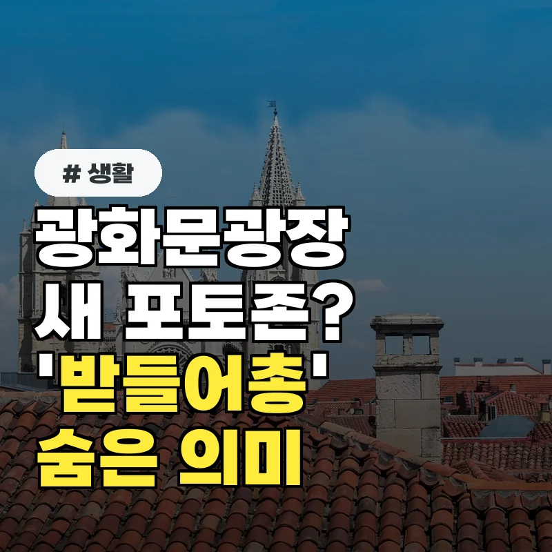 광화문광장 새 포토존? '이 받들어총' 조형물이 뜻하는 놀라운 의미