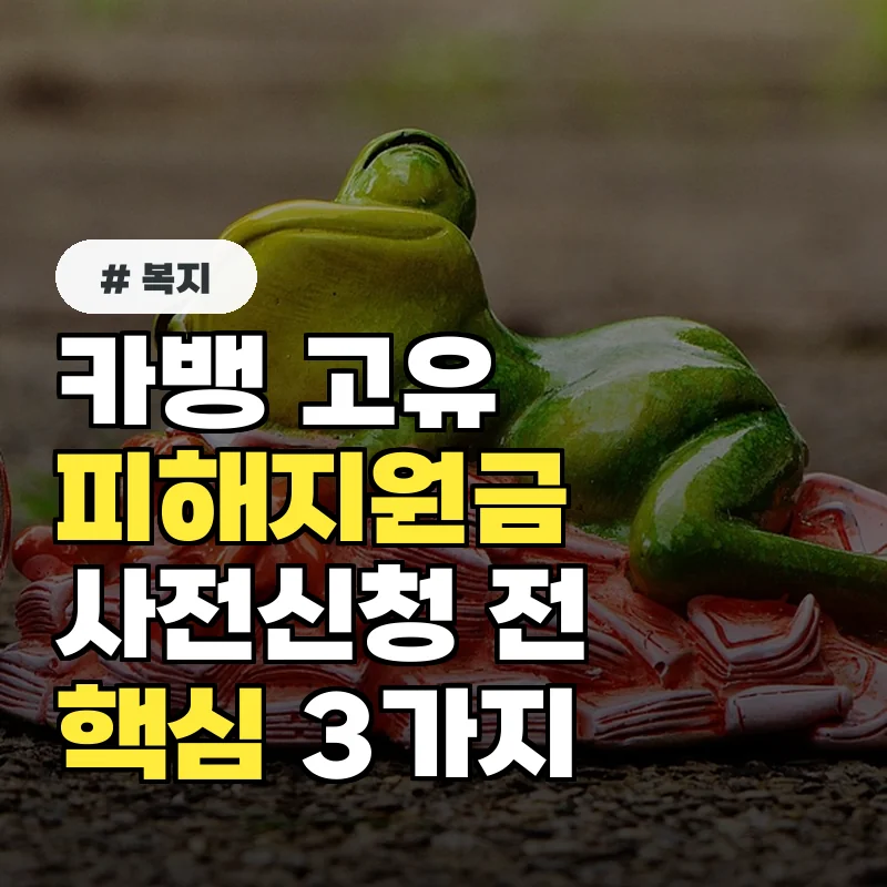 카뱅 고유피해지원금 사전신청 전 필독! 누락 방지 핵심 3가지