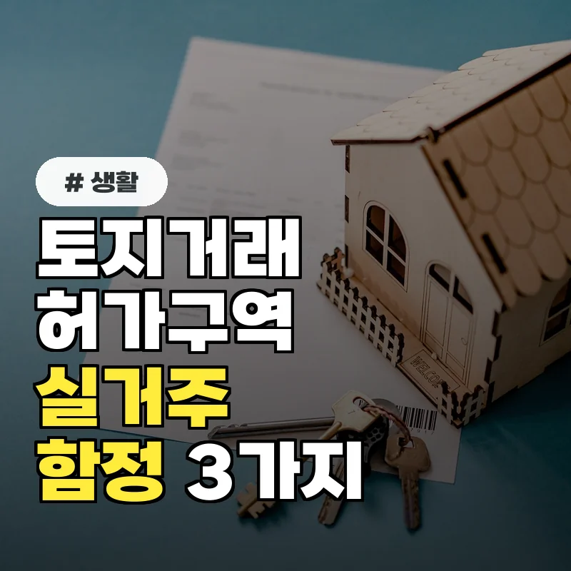 토지거래허가구역 실거주, 이사나 전월세 놓을 때 피할 수 없는 함정 3가지
