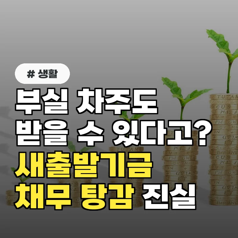 부실 차주도 받을 수 있다고? 새출발기금 연체 채무 탕감의 진실