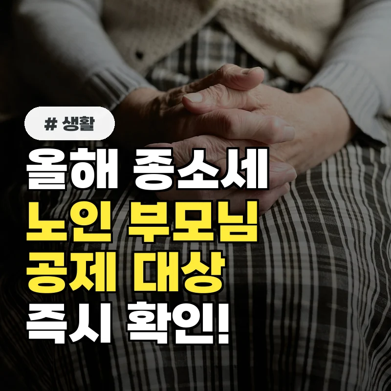 올해 종합소득세 신고 전, 노인 부모님 공제 대상 여부 즉시 확인하세요!