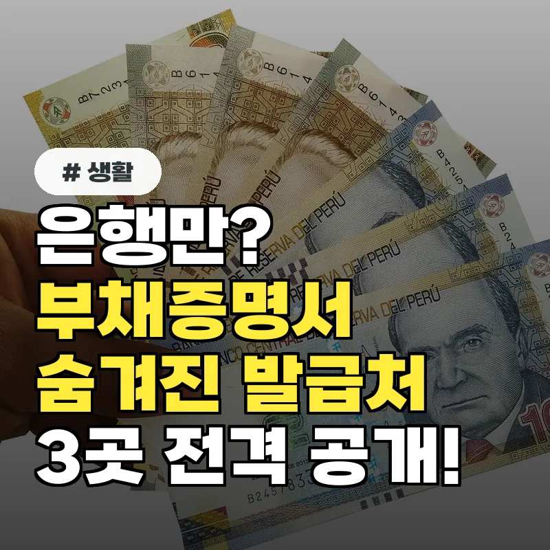 은행에만 가는 줄 알았는데? 부채증명서, 숨겨진 발급처 3곳 공개