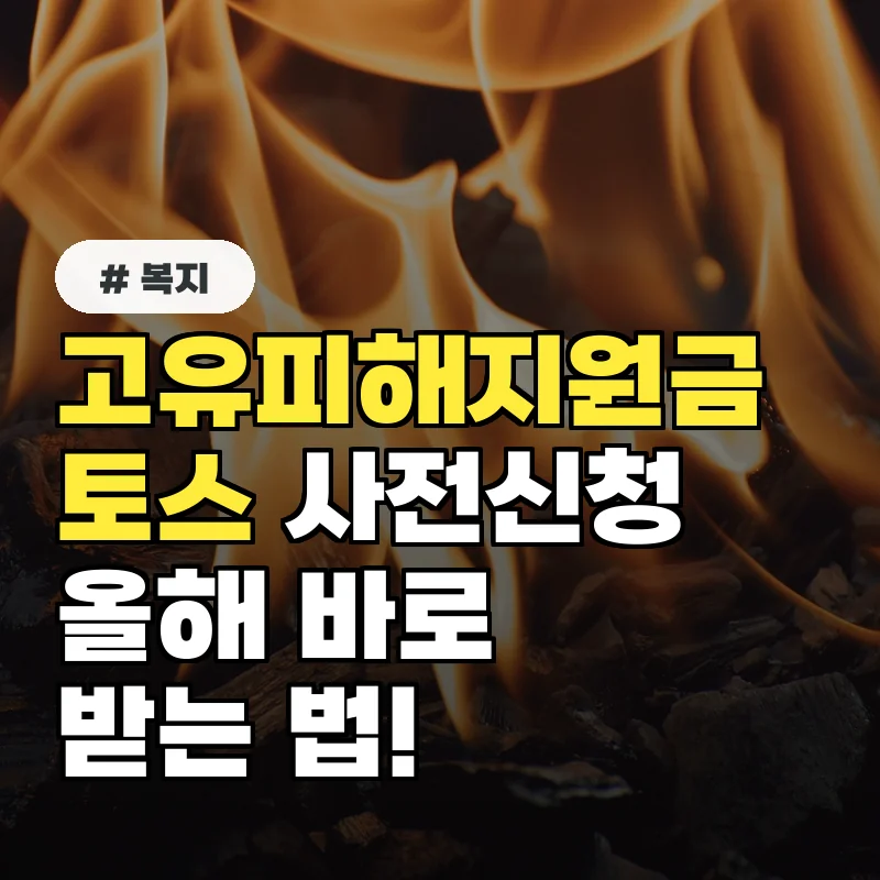 1인당 수십만 원 고유피해지원금 토스 사전신청으로 올해 바로 받는 법