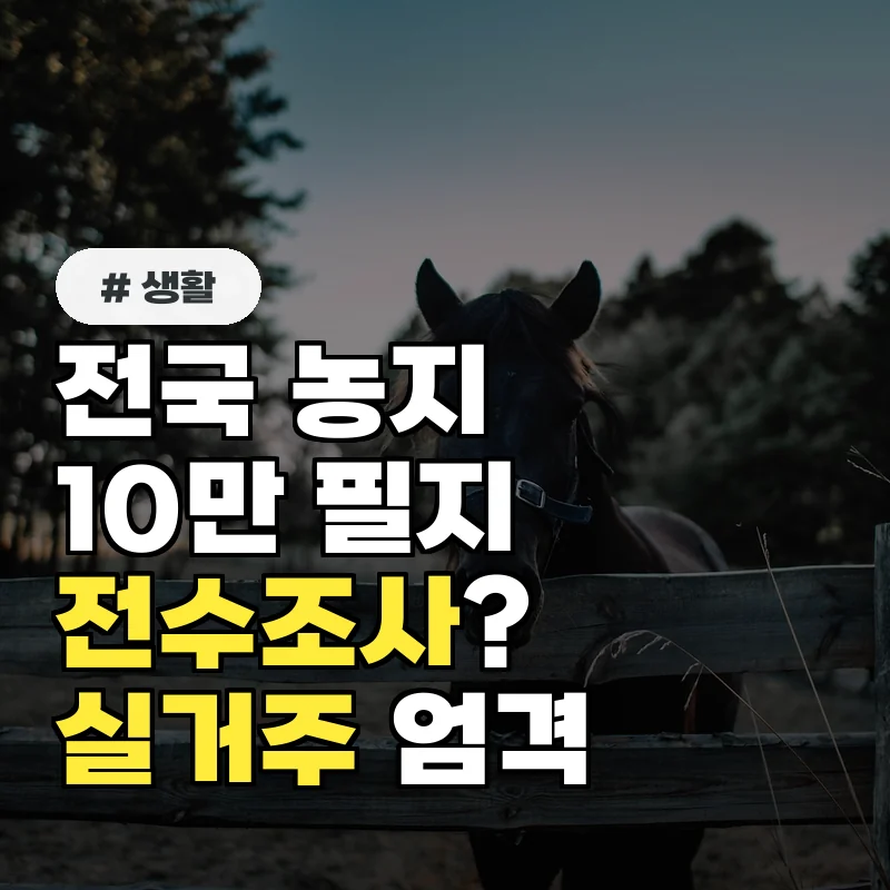 전국 농지 10만 필지 전수조사? 토지거래허가구역 실거주 의무가 더 엄격해진다
