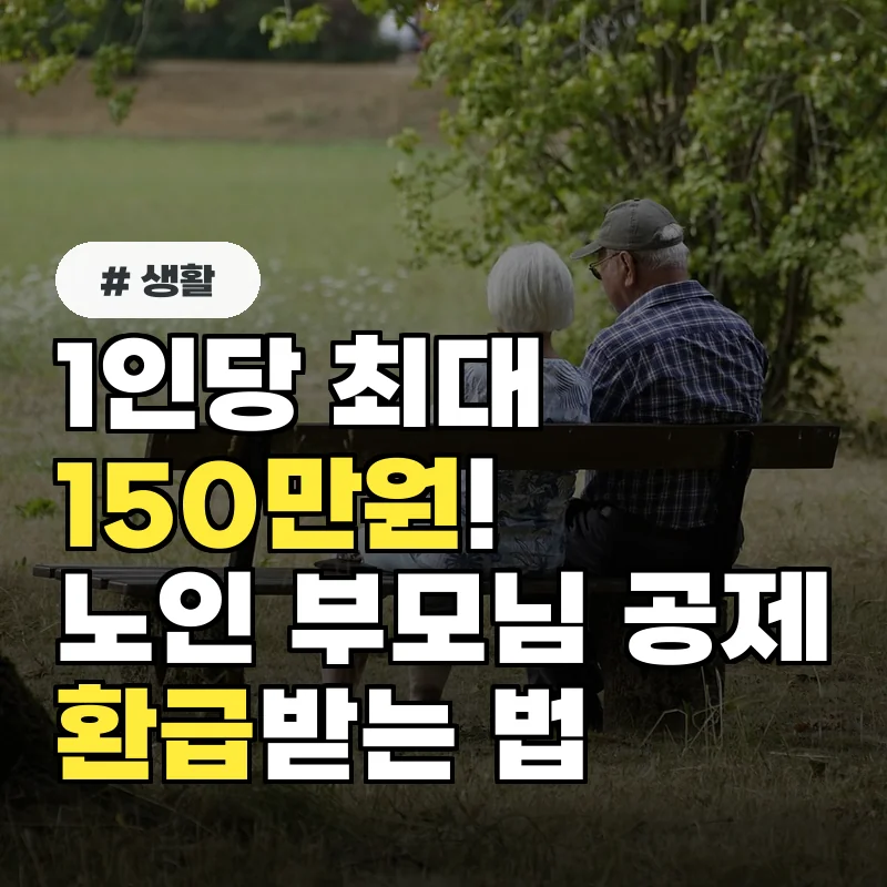 1인당 최대 150만 원! 종합소득세 노인 부모님 공제, 놓치지 말고 환급받는 법