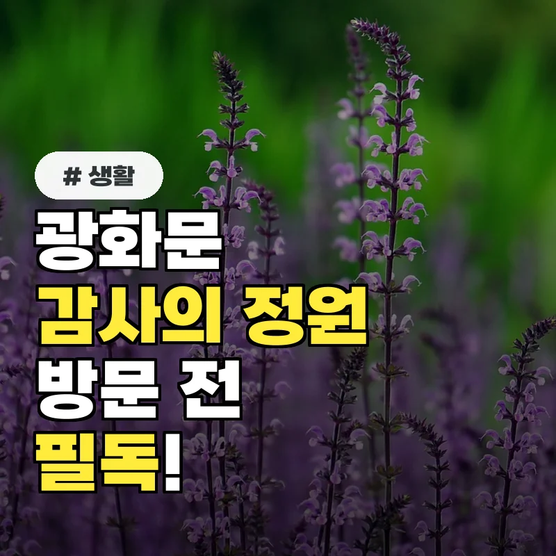 광화문 '감사의 정원' 방문 전 필독! 숨겨진 참전국 상징 5가지