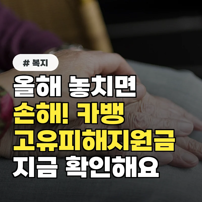 올해 놓치면 손해! 카뱅 고유피해지원금 사전신청, 지금 바로 확인하세요