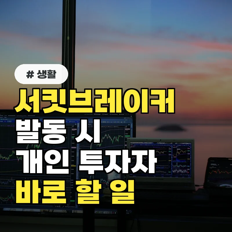 증시 급락 시 당황 금지! 서킷브레이커 발동 시 개인 투자자가 바로 해야 할 일