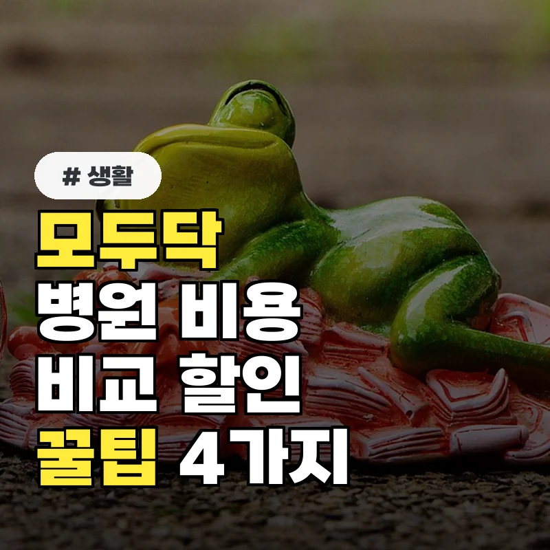 모두닥 병원 비용 비교 할인, 놓치면 손해 보는 이용 꿀팁 4가지