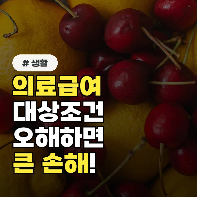 의료급여 대상조건 오해하면 큰 손해! 꼭 알아야 할 자격 기준