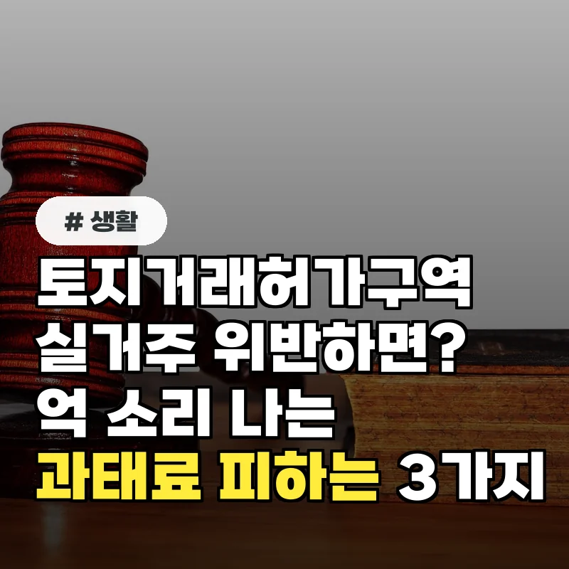 토지거래허가구역 실거주 위반하면? 억 소리 나는 과태료 피하는 3가지