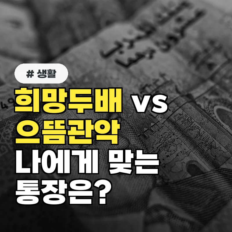희망두배 청년통장 vs 으뜸관악 청년통장, 나에게 맞는 통장은?