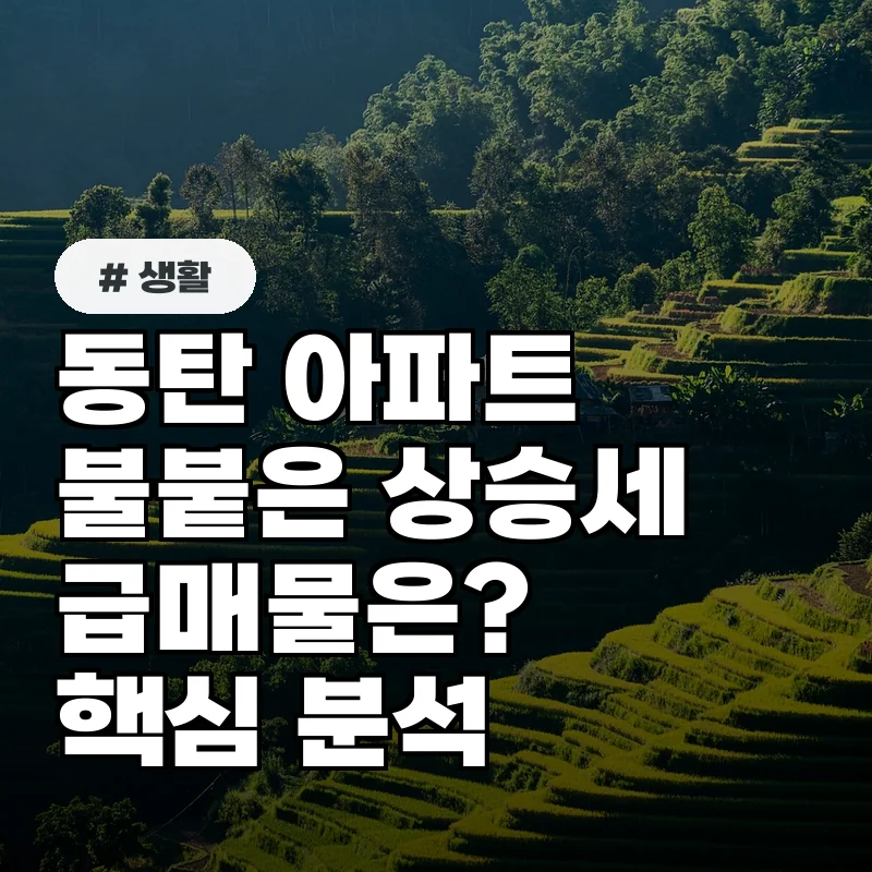 동탄 아파트, '최고 상승률' 기록한 이유는? 실제 급매물 분석