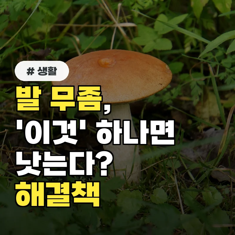 발 무좀, '이것' 하나면 낫는다? 전문가가 말하는 근본적인 해결책