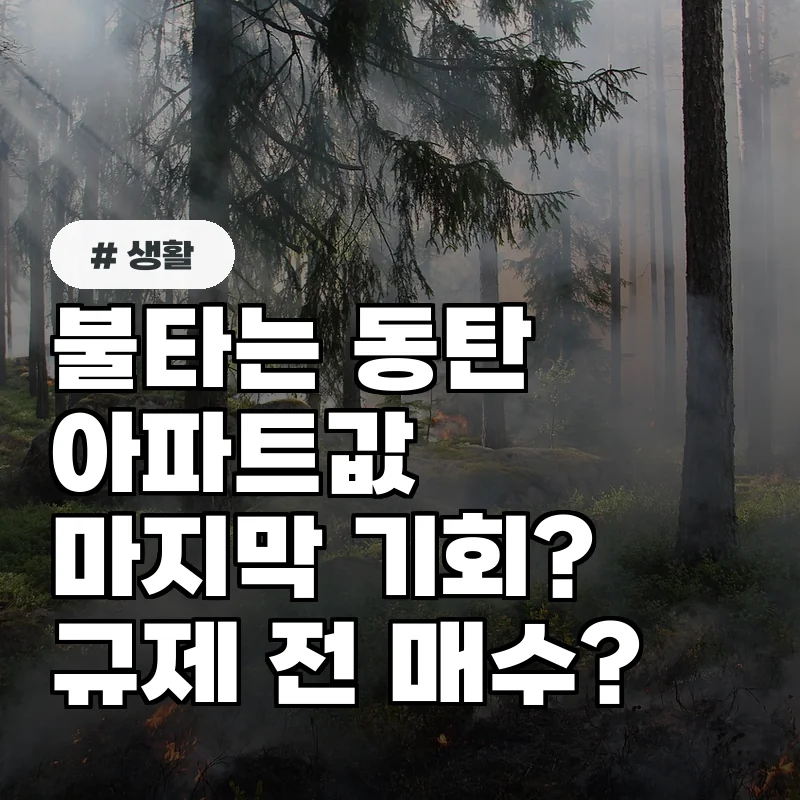 집값 급등 동탄 아파트, 규제 전 마지막 매수 기회일까?